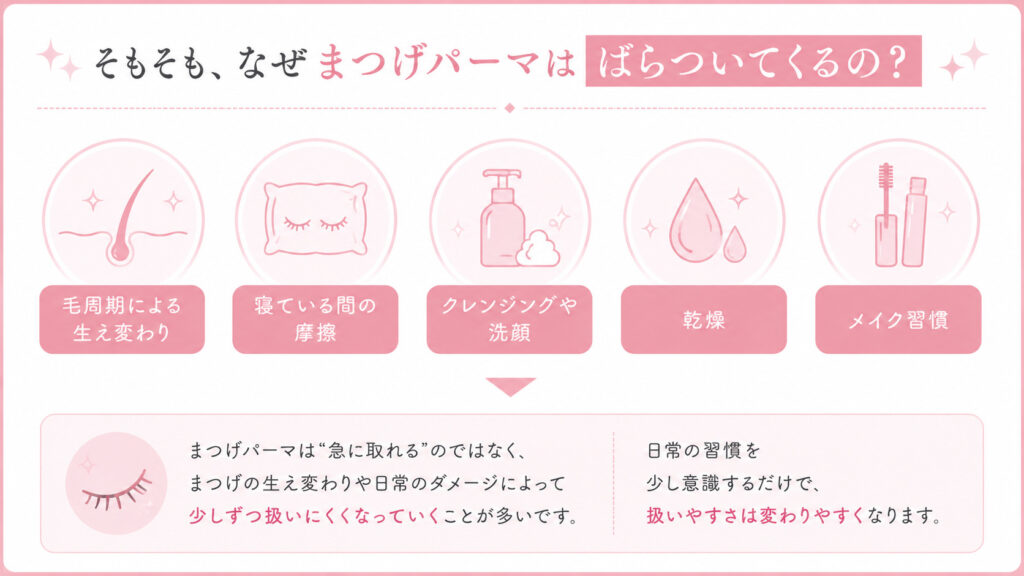 バンビッシュ　まつぱ　ばらつき