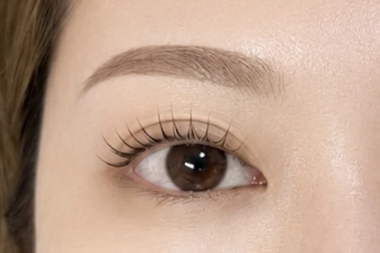 アーチ眉とメーテルの組み合わせ写真