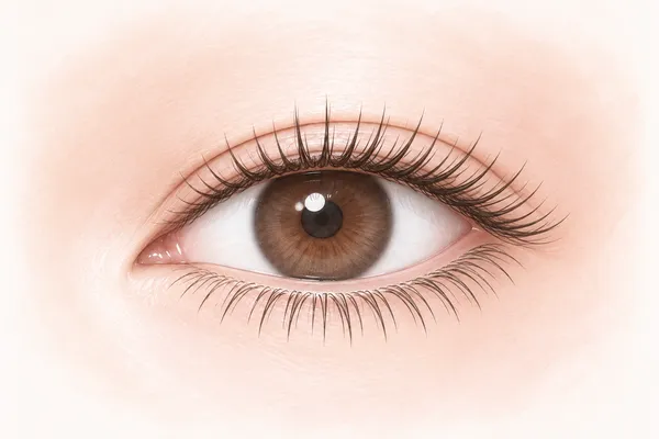 目を開き、上下のまつげがふさっと広がったイメージイラスト