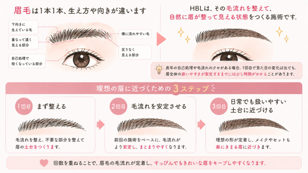 HBL 完成までのステップ　バンビッシュ