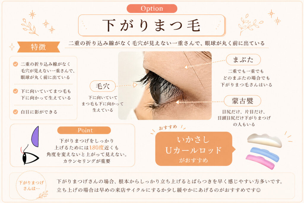 バンビッシュ 一重 下がりまつげ