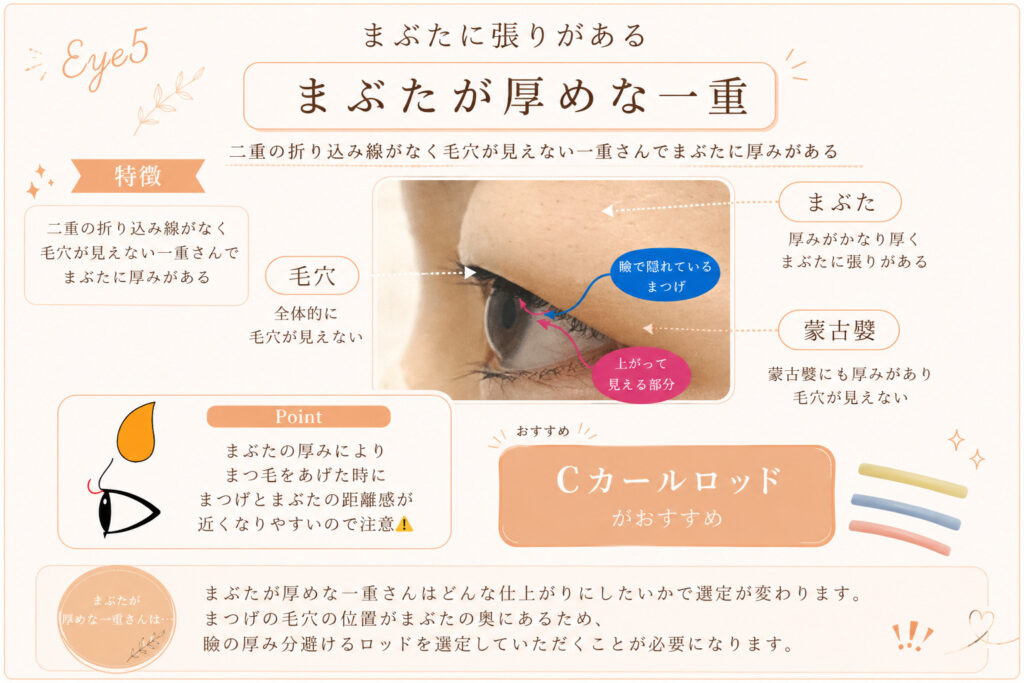 バンビッシュ まぶたが厚めな一重