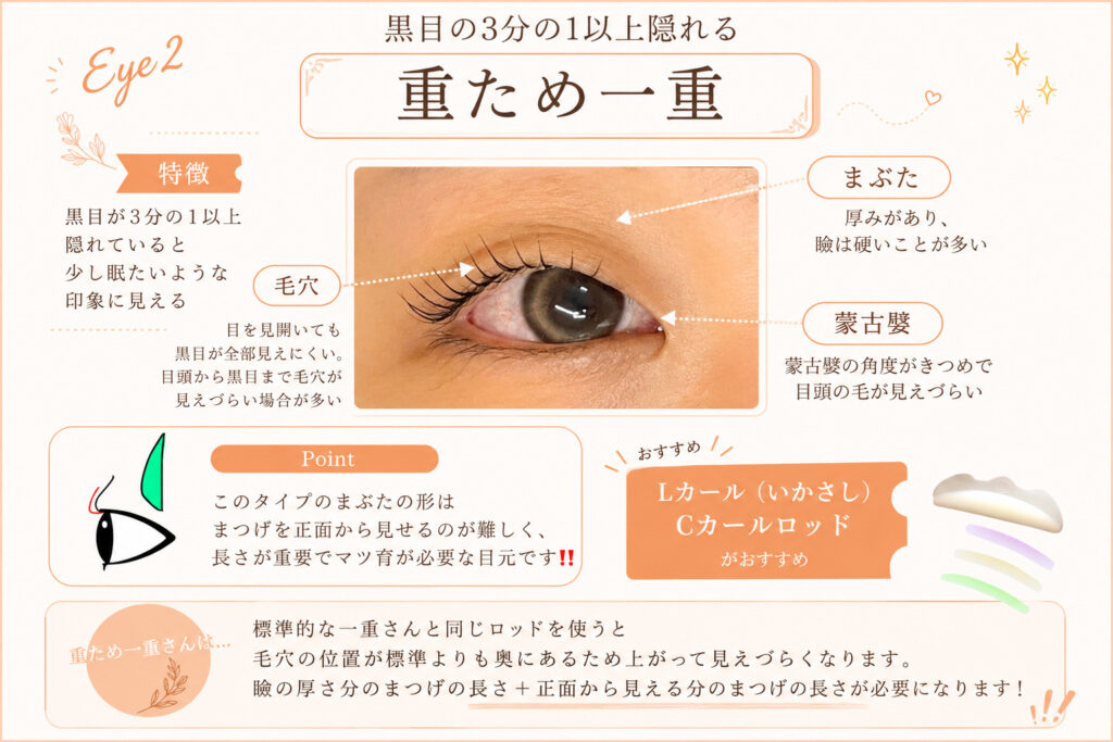 バンビッシュ 重ため一重